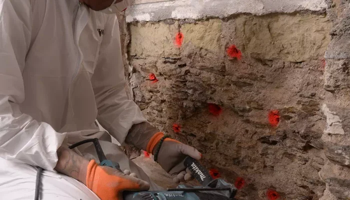 Réalisation d'un traitement de mérule en Vendée par OCPC