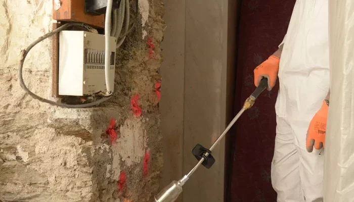 realisation-traitement-merule-vendee-ocpc-8