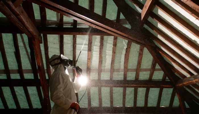 Réalisation d'un traitement de vrillette en Vendée par OCPC