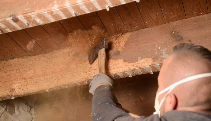 Réalisation d'un traitement de vrillette en Vendée par OCPC