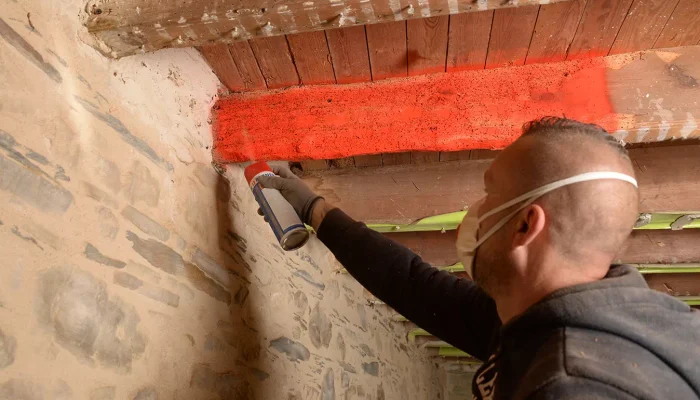 Réalisation d'un traitement de vrillette en Vendée par OCPC