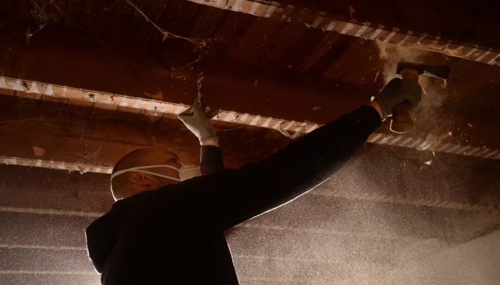 Réalisation d'un traitement de vrillette en Vendée par OCPC