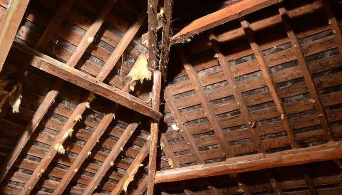 Réalisation d'un traitement de vrillette en Vendée par OCPC