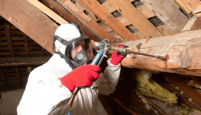 Réalisation d'un traitement de vrillette en Vendée par OCPC